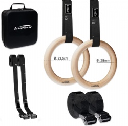 Gymnastic Rings With Door Anchel